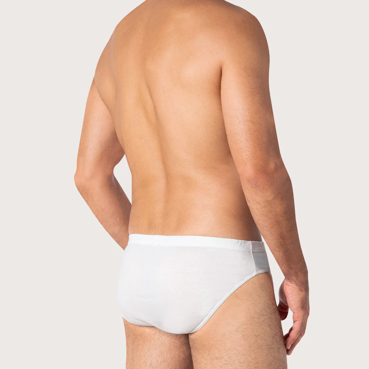 Slip taille basse coton Luxor Eminence - Image 3